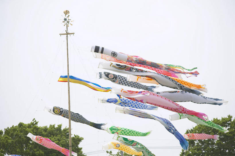 无人,横图,室外,白天,仰视,美景,树林,植物,旗帜,日本,许多,阴影,节日,庆祝,飘扬,光线,鲤鱼旗,影子,景观,很多,文化,旗子,树,树木,蓝色,绿色,蓝天,天空,阳光,自然,天,祈福,庆典,景色,生长,晴朗,成长,纪念,飘逸,祈求,自然风光,飞扬,万里无云,旌旗,旗号,鲤鱼节,男孩节,日本男孩节,子供之日,鲤帜,晴空,晴空万里,彩图,低角度拍摄