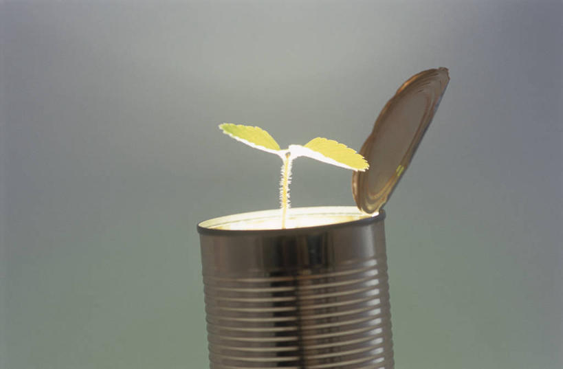 无人,横图,室内,特写,白天,正面,植物,阴影,朦胧,模糊,反射,罐头,罐子,影子,一个,绿色,自然,摄影,影棚,生长,单个,成长,罐头食品,彩图,影棚拍摄,拍摄