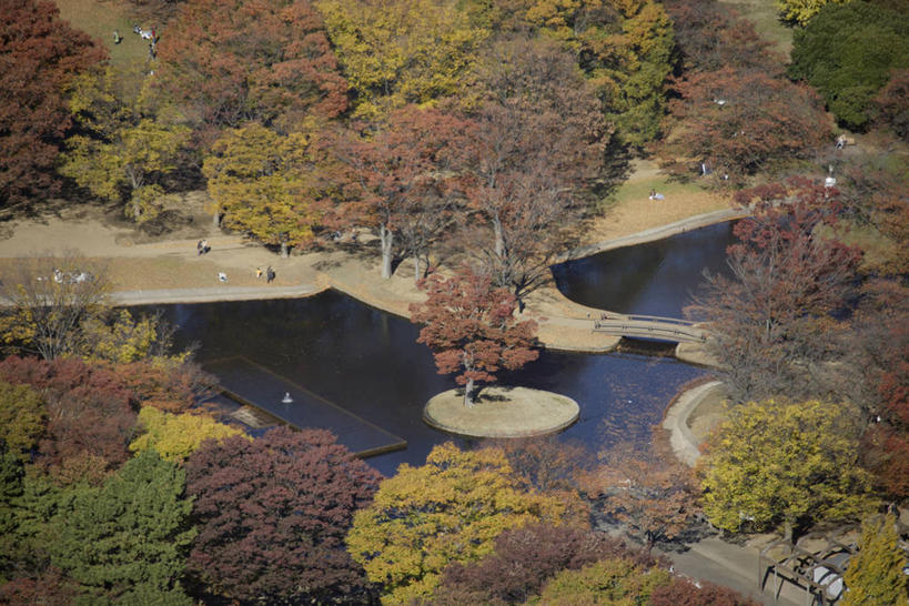 无人,公园,横图,俯视,航拍,室外,白天,旅游,度假,河流,美景,森林,树林,水,植物,东京,日本,亚洲,阴影,枯萎,光线,影子,河水,景观,水流,枯草,娱乐,草,树,树木,黄色,绿色,阳光,自然,享受,休闲,景色,放松,生长,成长,鸟瞰,自然风光,东亚,本州,关东地方,本州岛,日本国,东京都,涩谷,涉谷,涩谷区,代代木公园,彩图,高角度拍摄