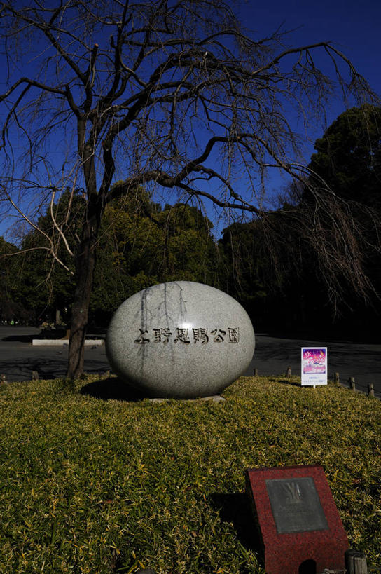 无人,公园,竖图,室外,白天,正面,旅游,度假,草地,草坪,美景,树林,植物,道路,路,雕塑,东京,日本,亚洲,阴影,艺术,装饰,光线,日文,标志,雕刻,雕像,文字,影子,字符,景观,小路,交通,娱乐,标识,石雕,石刻,草,树,树木,蓝色,绿色,蓝天,天空,阳光,自然,石碑,工艺品,天,享受,休闲,景色,放松,生长,晴朗,成长,纪念,美术,自然风光,主题,陈列,东亚,本州,万里无云,关东地方,本州岛,日本国,东京都,功能,美学,日语,东京上野公园,台东区,晴空,晴空万里,彩图,上野,上野恩赐公园,上野公园