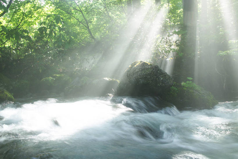 无人,横图,室外,白天,正面,旅游,度假,河流,石头,美景,树林,水,植物,日本,亚洲,阴影,朦胧,梦幻,模糊,发光,光束,光线,石子,影子,河水,景观,水流,光亮,娱乐,树,树木,绿色,阳光,自然,享受,休闲,景色,放松,生长,成长,未来,发亮,自然风光,东亚,憧憬,本州,本州岛,日本国,东北地方,山形,山形县,石块,岩石,彩图,东田川郡,庄内町