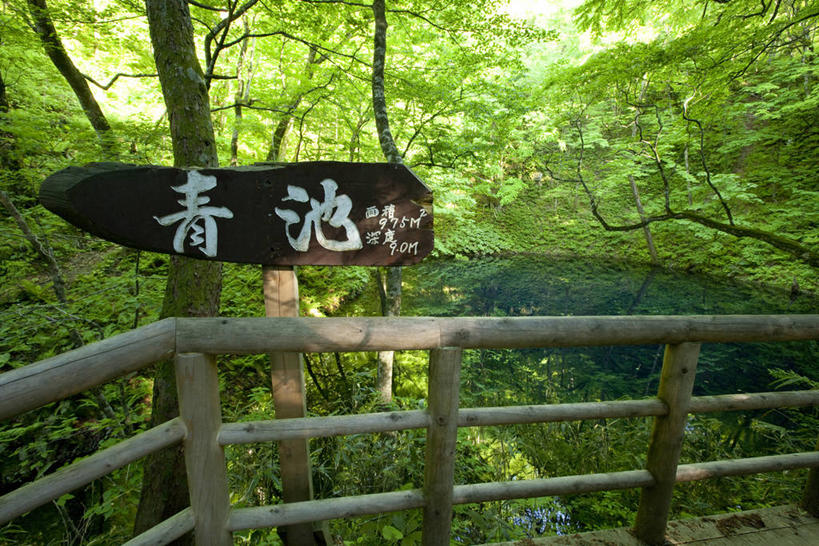 无人,公园,栏杆,横图,室外,白天,正面,旅游,度假,美景,树林,植物,日本,亚洲,阴影,光线,标志,文字,影子,字符,池塘,景观,水池,围栏,枝条,娱乐,标识,护栏,树,树木,树枝,绿色,阳光,自然,享受,休闲,汉字,景色,放松,生长,成长,中文,自然风光,东亚,本州,本州岛,日本国,青森,青森县,东北地方,国文,华文,虬枝,枝杈,彩图,国定公园,津轻国定公园,青池,十二湖,准国家公园