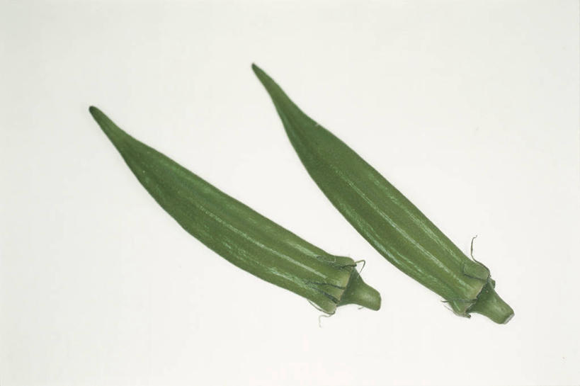 无人,横图,室内,特写,白天,白色背景,正面,蔬菜,新鲜,秋葵,食品,食物,两个,绿色,摄影,有机食品,绿色食品,影棚,毛茄,羊角豆,黄秋葵,咖啡黄葵,彩图,影棚拍摄,拍摄,羊角菜