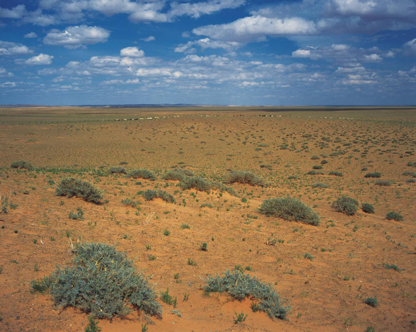 无人,横图,室外,白天,正面,旅游,度假,草地,草坪,美景,沙漠,植物,蒙古,亚洲,阴影,光线,影子,地平线,景观,云,云朵,辽阔,地面,云彩,娱乐,草,蓝色,绿色,白云,蓝天,天空,阳光,自然,天,享受,休闲,广阔,景色,放松,晴朗,一望无际,自然风光,延伸,东亚,天地相交,草原之国,蒙古国,外蒙,外蒙古,无边无际,一马平川,南戈壁省,大漠,砂漠,晴空,彩图