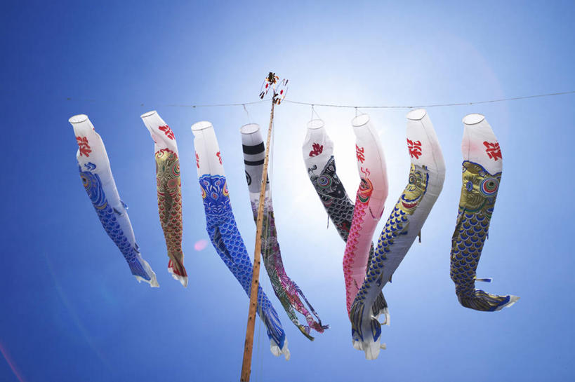 无人,横图,室外,特写,白天,仰视,美景,旗帜,日本,一排,许多,阴影,节日,庆祝,整齐,并列,并排,飘扬,光线,鲤鱼旗,影子,景观,很多,文化,旗子,排列,蓝色,蓝天,天空,阳光,自然,天,祈福,庆典,景色,晴朗,纪念,飘逸,祈求,队列,自然风光,飞扬,平行,万里无云,旌旗,旗号,鲤鱼节,男孩节,日本男孩节,子供之日,鲤帜,晴空,晴空万里,彩图,低角度拍摄