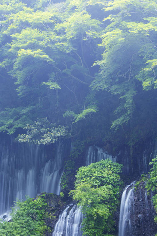 无人,竖图,俯视,室外,白天,旅游,度假,美景,瀑布,森林,山,山脉,树林,水,植物,长野县,日本,亚洲,阴影,飞溅,溅,光线,液体,影子,景观,山峰,水滴,山峦,娱乐,水珠,树,树木,绿色,阳光,自然,群山,享受,休闲,景色,放松,生长,成长,喷洒,自然风光,东亚,本州,本州岛,日本国,中部地方,长野,轻井泽,轻井泽町,白丝瀑布,跌水,彩图,高角度拍摄,北佐久郡