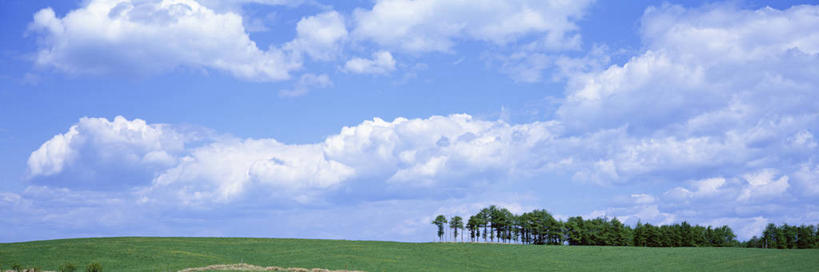 无人,横图,室外,白天,正面,旅游,度假,草地,草坪,美景,树林,植物,北海道,日本,亚洲,阴影,光线,影子,景观,云,云朵,云彩,娱乐,草,树,树木,蓝色,绿色,白云,蓝天,天空,阳光,自然,天,享受,休闲,景色,放松,生长,晴朗,成长,自然风光,东亚,日本国,北海道地方,北海道岛,别海町,根室支厅,野付郡,晴空,彩图,道东