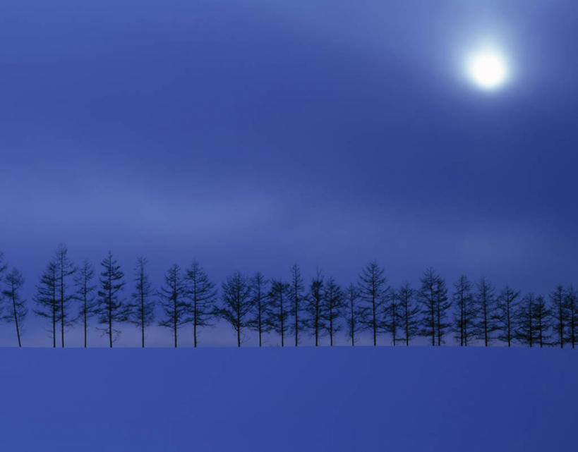 无人,横图,室外,白天,正面,旅游,度假,日出,美景,山,树林,太阳,雪,雪山,植物,大雪,北海道,日本,亚洲,一排,整齐,并列,并排,冰,积雪,景观,山峰,雪景,冬季,冬天,朝霞,晨曦,黎明,山峦,娱乐,树,树木,排列,绿色,阳光,自然,享受,休闲,景色,放松,寒冷,生长,成长,冰冷,队列,自然风光,平行,东亚,日本国,北海道地方,北海道岛,严寒,冰凉,酷寒,凛冽,凛凛,极冷,朝阳,彩图,卯时,破晓,日始,鄂霍次克综合振兴局,网走郡,大空町,道东,网走支厅