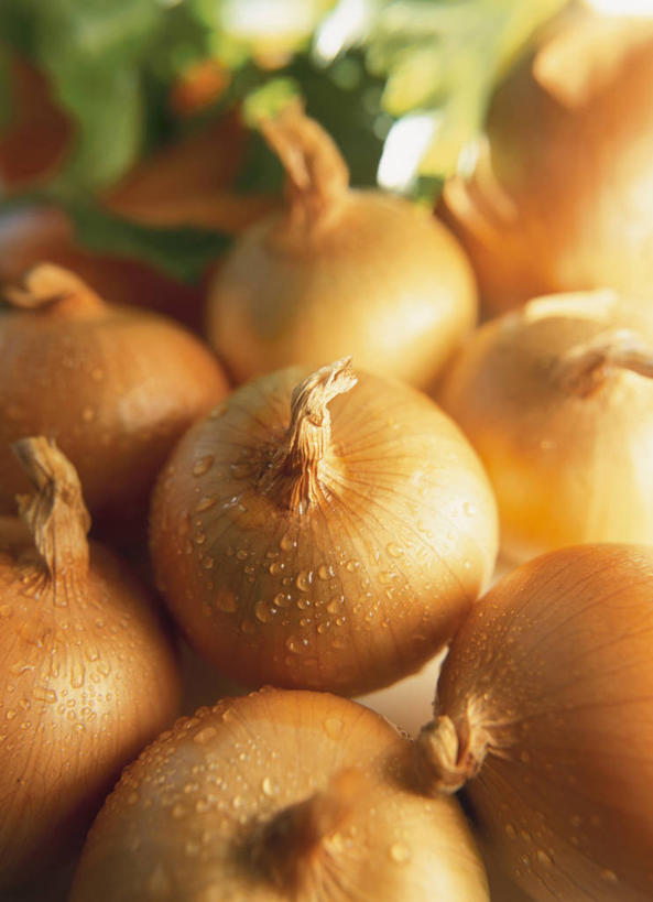 无人,竖图,俯视,室内,特写,白天,蔬菜,洋葱,许多,阴影,朦胧,模糊,新鲜,反射,影子,食品,很多,食物,有机食品,绿色食品,玉葱,荷兰葱,圆葱,洋葱头,球葱,葱头,彩图,高角度拍摄,黄洋葱