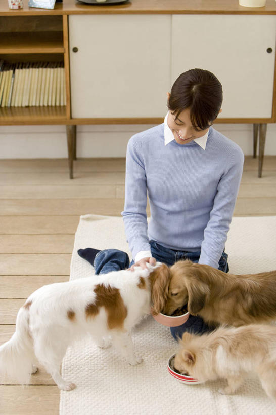 东方人,一个人,坐,笑,微笑,露齿笑,竖图,俯视,室内,白天,宠物,狗,亚洲,仅一个年轻女性,仅一个女性,仅一个人,三只,握,服装,腊肠犬,塑料,食品,迷你腊肠犬,营养,拿,拿着,注视,休闲装,黄种人,博美犬,腊肠狗,骑士查理王猎犬,松鼠犬,食物,衣服,动物,容器,塑料制品,碗,低头,观察,看,休闲,休闲服,可爱,握着,服饰,观看,储藏,察看,狗粮,储存,关注,饲料,忠诚,波美拉尼亚犬,迷你腊肠狗,博美狗,垂头,查理士王小猎犬,查理王小猎犬,骑士查理王犬,年轻女性,女人,女性,亚洲人,犬,坐着,彩图,高角度拍摄,全身,犬粮,狗碗,贮存