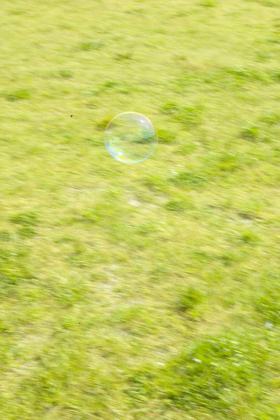 无人,竖图,俯视,室外,特写,白天,草地,草原,美景,植物,阴影,朦胧,模糊,光线,影子,景观,旷野,草,绿色,阳光,自然,景色,自然风光,原野,彩图,高角度拍摄