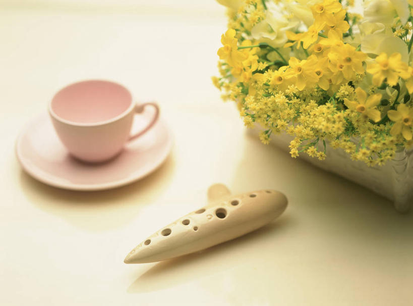 无人,横图,俯视,室内,特写,白天,餐桌,桌子,杯子,餐具,阴影,盛开,反射,瓷器,碟子,盘,影子,吹奏乐器,咖啡杯,乐器,木管乐器,陶瓷制品,陶笛,花蕾,花,花瓣,花朵,鲜花,一个,盘子,碟,花苞,花蕊,单个,餐台,瓷杯,彩图,高角度拍摄,洋埙,瓦埙,土笛,奥卡利那笛