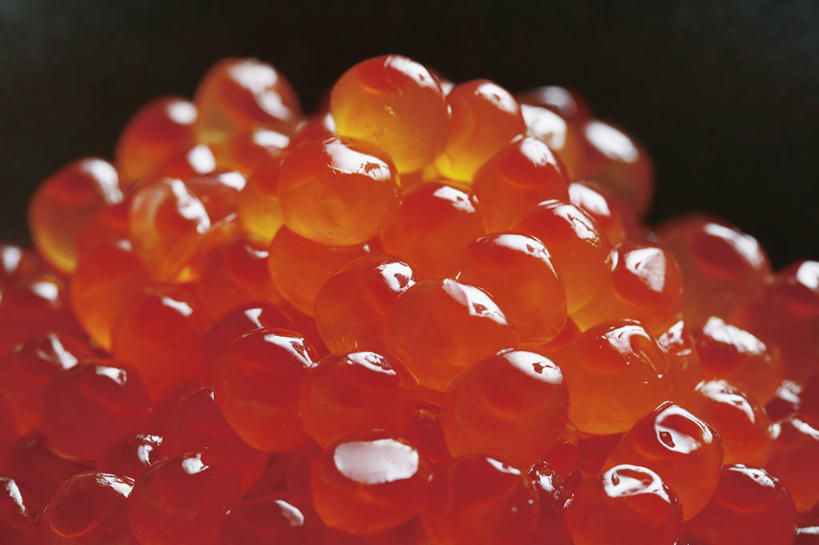 无人,横图,室内,特写,白天,正面,许多,阴影,黑色背景,朦胧,模糊,反射,影子,鱼卵,很多,鱼籽,鲑鱼卵,橙色,摄影,影棚,彩图,影棚拍摄,拍摄