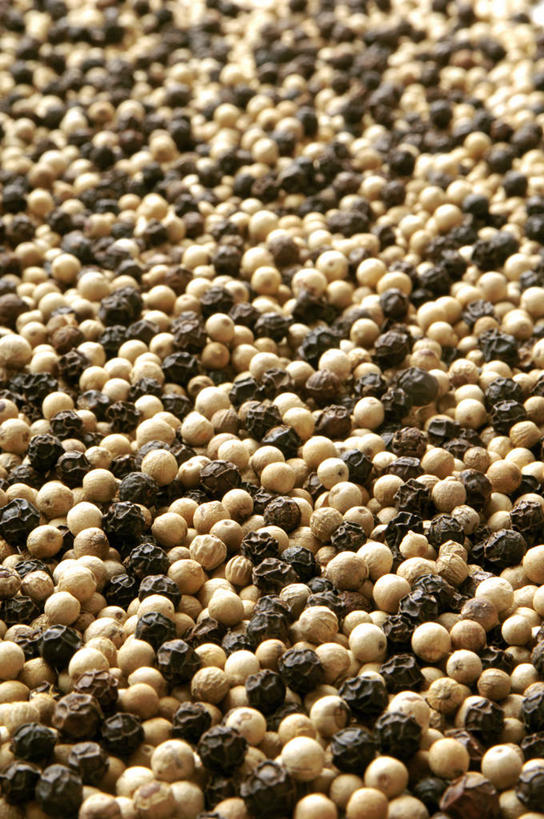 无人,竖图,俯视,室内,特写,白天,一堆,许多,阴影,堆叠,堆积,反射,影子,调料,调味,香料,佐料,黑胡椒,调味品,很多,调味料,堆,白胡椒,配料,作料,胡椒,彩图,高角度拍摄,全画面,全框架,全帧,全画幅