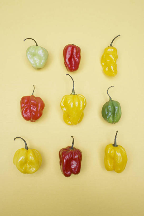 无人,竖图,俯视,室内,特写,白天,辣椒,蔬菜,一排,许多,阴影,黄色背景,新鲜,整齐,并列,并排,反射,影子,食品,很多,食物,排列,摄影,有机食品,绿色食品,影棚,队列,平行,黄辣椒,彩椒,辣角,红海椒,大椒,辣虎,广椒,甜椒,柿子椒,辣子,海椒,番椒,灯笼椒,彩图,高角度拍摄,影棚拍摄,拍摄,黄灯笼辣椒,黄帝椒