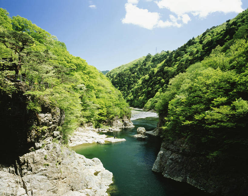 无人,横图,室外,白天,正面,旅游,度假,河流,石头,美景,森林,树林,水,植物,日光,日本,亚洲,阴影,波纹,光线,石子,影子,河水,景观,水流,云,云朵,涟漪,云彩,娱乐,树,树木,蓝色,绿色,白云,倒影,蓝天,水纹,天空,阳光,自然,波浪,天,享受,休闲,景色,放松,茂密,茂盛,生长,晴朗,成长,倒映,自然风光,东亚,本州,关东地方,本州岛,日本国,栃木,栃木县,水晕,日光市,鬼怒川,反照,石块,岩石,晴空,彩图