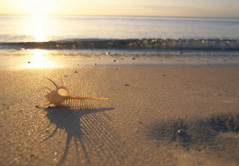 无人,横图,室外,白天,正面,旅游,度假,海浪,海洋,美景,日落,沙滩,菲律宾,亚洲,沙子,海岸,景观,浪花,水平线,晚霞,霞光,落日,辽阔,海螺,海平线,沙地,娱乐,海洋生物,一个,自然,海水,黄昏,享受,休闲,广阔,景色,彩霞,放松,东南亚,单个,一望无际,软体动物,峨螺,自然风光,水生动物,水生物,海景,海底动物,骨螺,菲律宾共和国,米沙鄢,米沙鄢群岛,无边无际,一马平川,夕照,薄暮,长滩岛,刺螺,大海,风浪,海,海水的波动,海滩,近岸浪,涌浪,夕阳,彩图,傍晚,水天相接,水天一线,斜阳