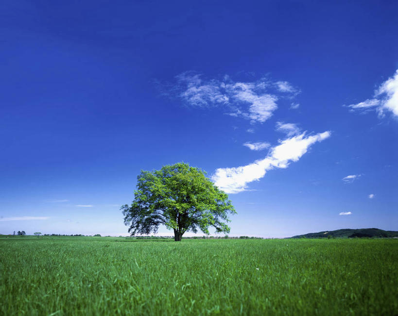 无人,横图,室外,白天,正面,旅游,度假,草地,草坪,美景,植物,北海道,日本,亚洲,一棵,阴影,光线,影子,景观,云,云朵,云彩,娱乐,草,树,树木,蓝色,绿色,白云,蓝天,天空,阳光,自然,天,享受,休闲,景色,放松,生长,晴朗,成长,自然风光,东亚,日本国,北海道地方,北海道岛,晴空,彩图,池田町,十胜综合振兴局,振兴局,中川郡,道东