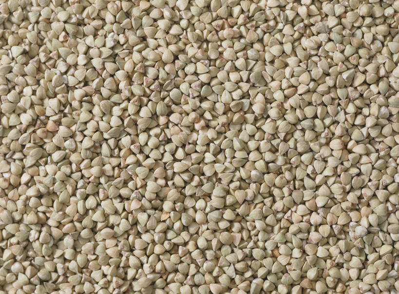 无人,横图,俯视,室内,特写,白天,农作物,一堆,许多,阴影,堆叠,堆积,反射,影子,谷类,谷物,米,很多,荞麦,大米,堆,彩图,高角度拍摄,全画面,全框架,全帧,全画幅