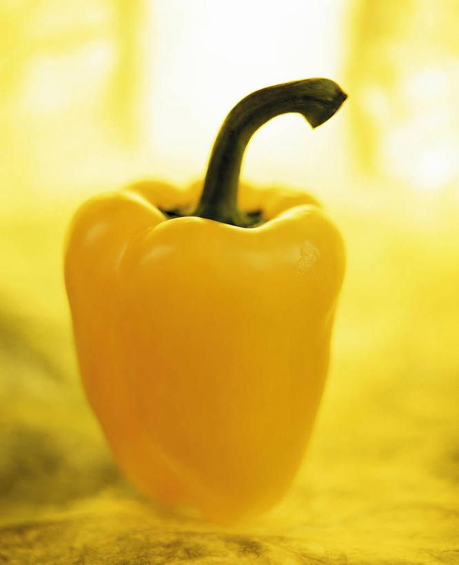 无人,竖图,俯视,室内,特写,白天,辣椒,蔬菜,阴影,朦胧,模糊,新鲜,反射,影子,食品,食物,一个,黄色,有机食品,绿色食品,单个,黄辣椒,彩椒,辣角,红海椒,大椒,辣虎,广椒,甜椒,柿子椒,辣子,海椒,番椒,灯笼椒,彩图,高角度拍摄,黄灯笼辣椒,黄帝椒