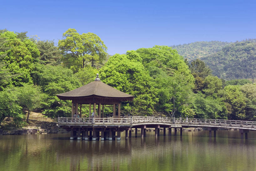 无人,横图,室外,白天,正面,旅游,度假,湖,湖泊,美景,树林,水,植物,奈良县,日本,亚洲,阴影,光线,木板,影子,亭子,湖面,景观,水流,水面,桥,木桥,娱乐,栈桥,树,树木,蓝色,绿色,蓝天,天空,阳光,自然,凉亭,湖水,天,享受,休闲,景色,放松,生长,晴朗,成长,人行桥,木板桥,自然风光,东亚,本州,万里无云,本州岛,日本国,近畿地方,奈良,近畿,晴空,晴空万里,彩图