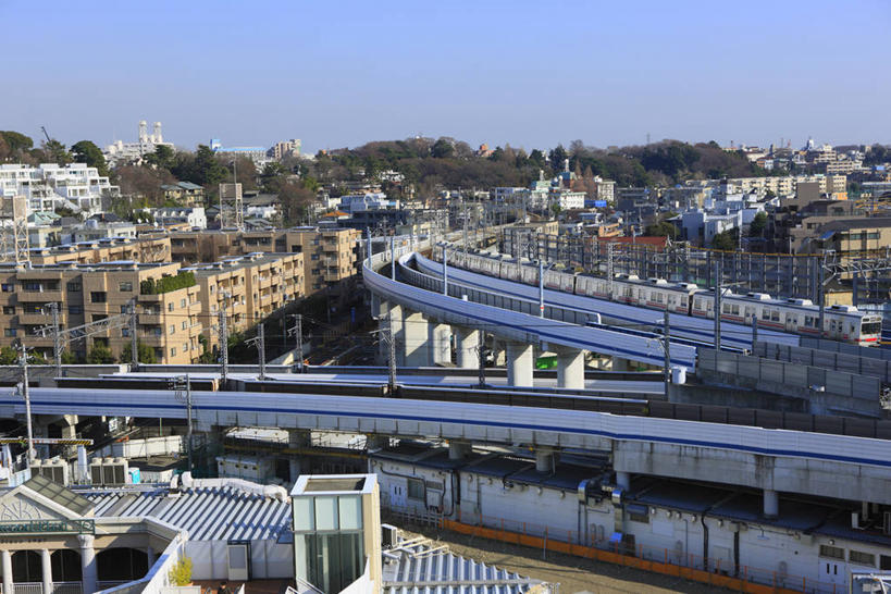 无人,家,横图,俯视,室外,白天,旅游,度假,美景,树林,植物,城市风光,城市,大桥,建筑,路灯,桥梁,照明,东京,日本,亚洲,阴影,光线,影子,房屋,屋子,景观,高架,公寓,建筑群,桥,灯光,娱乐,建设,洋房,楼房,住宅,灯,树,树木,蓝色,绿色,蓝天,天空,阳光,自然,天,享受,休闲,景色,放松,生长,晴朗,成长,照亮,照明设备,高架桥,东亚,高架道路,跨线桥,本州,万里无云,关东地方,本州岛,日本国,东京都,晴空,晴空万里,彩图,高角度拍摄,房子,世田谷区,二子玉川