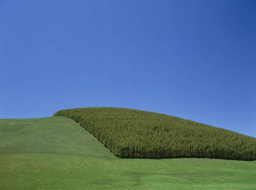 无人,横图,室外,白天,正面,旅游,度假,美景,森林,山,山脉,树林,植物,法国,欧洲,阴影,光线,影子,景观,山峰,山峦,娱乐,树,树木,蓝色,绿色,蓝天,天空,阳光,自然,群山,天,享受,休闲,景色,放松,生长,晴朗,成长,西欧,法兰西,自然风光,万里无云,法兰西共和国,法兰西第五共和国,奥弗涅,奥弗涅大区,晴空,晴空万里,彩图