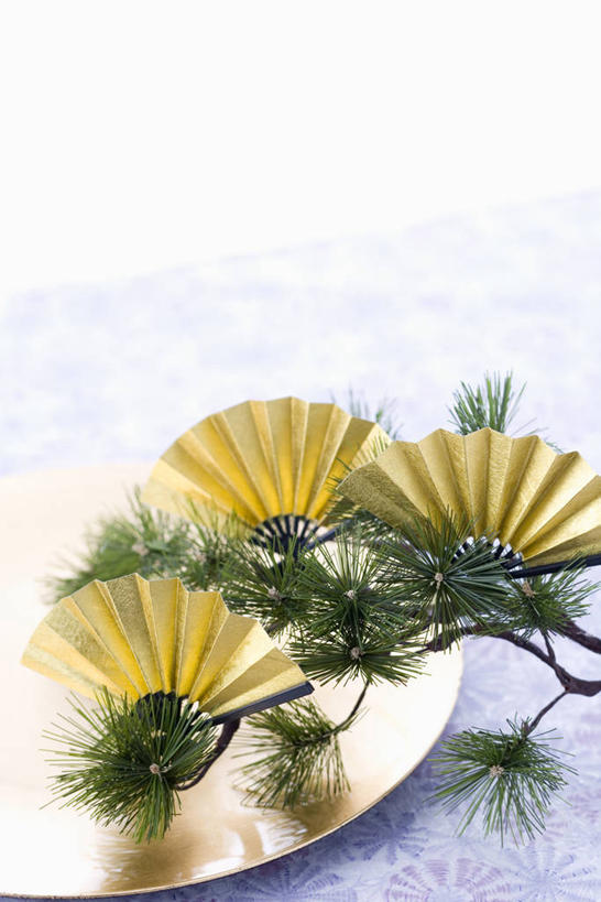 无人,竖图,室内,特写,白天,白色背景,正面,松树,叶子,阴影,反射,扇子,影子,折扇,纸扇,绿叶,枝条,三把,清凉,凉爽,文化,树枝,金色,嫩叶,摄影,影棚,坚定,长寿,撒扇,贞洁,虬枝,枝杈,叶,叶片,彩图,影棚拍摄,拍摄,传统文化