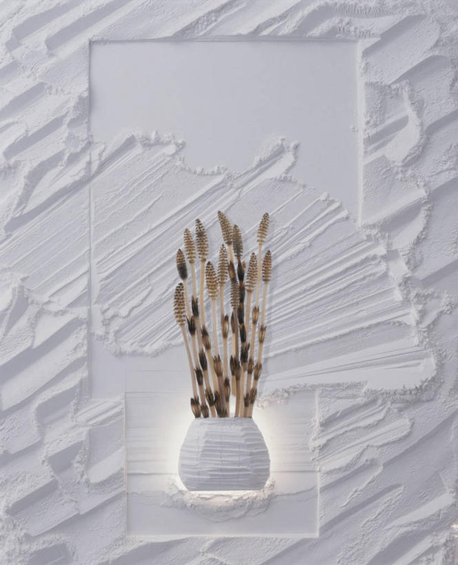 无人,竖图,室内,特写,白天,白色背景,正面,石膏,阴影,反射,纹路,纹理,影子,白色,马尾,摄影,影棚,肌理,问荆,接续草,公母草,搂接草,空心草,马蜂草,猪鬃草,黄蚂草,节节草,接骨草,熟石膏,彩图,影棚拍摄,拍摄,木贼,马尾植物,灰膏