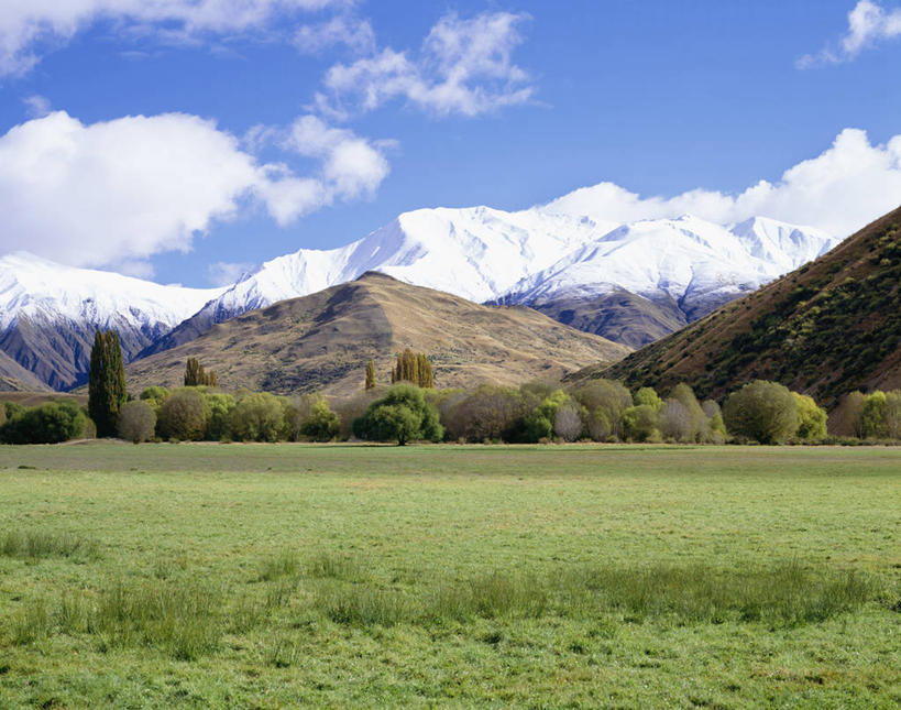 无人,横图,室外,白天,正面,旅游,度假,草地,草坪,美景,山,树林,雪,雪山,植物,大雪,新西兰,阴影,光线,影子,冰,积雪,景观,山峰,雪景,云,云朵,冬季,冬天,山峦,云彩,娱乐,草,树,树木,蓝色,绿色,白云,蓝天,天空,阳光,自然,天,享受,休闲,景色,放松,寒冷,生长,晴朗,成长,冰冷,自然风光,大洋洲,严寒,纽西兰,冰凉,酷寒,凛冽,凛凛,极冷,长白云之乡,新西兰南岛,瓦纳卡,瓦纳卡湖,晴空,彩图
