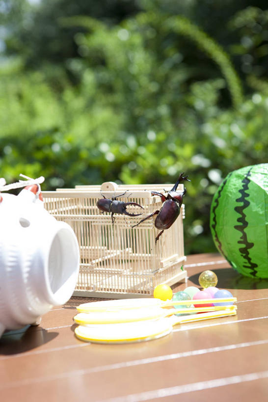 无人,竖图,室外,白天,正面,美景,树林,植物,西瓜,水果,阴影,朦胧,模糊,日本文化,新鲜,光线,昆虫,蚊香猪,影子,景观,生食,食品,果实,蚊香架,甲壳虫,文化,树,树木,食物,绿色,阳光,自然,动物,两只,景色,有机食品,绿色食品,生长,成长,自然风光,甲虫,和风,害虫,锹甲虫,锹型虫,锹型甲,寒瓜,彩图,全身,蚊取豚,香薰器,小猪香炉,传统文化