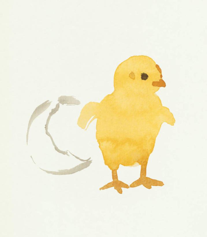 无人,站,竖图,室内,特写,白天,正面,绘画,鸡,艺术,月牙,古典,注视,文化,家禽,一只,黄色,动物,工艺品,观察,看,品味,站着,牲畜,观看,美术,水彩,察看,水彩画,高雅,关注,美学,月芽,新月,站立,彩图,全身