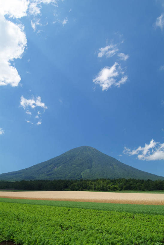 无人,公园,竖图,室外,白天,正面,旅游,度假,草地,草坪,火山,美景,山,山脉,树林,植物,北海道,日本,亚洲,阴影,光线,影子,景观,山峰,云,云朵,山峦,云彩,娱乐,草,树,树木,蓝色,绿色,白云,蓝天,天空,阳光,自然,群山,天,享受,休闲,景色,放松,生长,晴朗,成长,自然风光,东亚,日本国,北海道地方,北海道岛,国立公园,羊蹄山,支笏洞爷国立公园,活火山,晴空,彩图