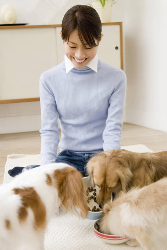 东方人,一个人,坐,笑,微笑,露齿笑,竖图,室内,白天,正面,宠物,狗,亚洲,仅一个年轻女性,仅一个女性,仅一个人,三只,服装,腊肠犬,塑料,食品,迷你腊肠犬,营养,注视,休闲装,黄种人,博美犬,腊肠狗,骑士查理王猎犬,松鼠犬,食物,衣服,动物,容器,塑料制品,碗,低头,观察,看,休闲,休闲服,可爱,服饰,观看,储藏,察看,狗粮,储存,关注,饲料,忠诚,波美拉尼亚犬,迷你腊肠狗,博美狗,垂头,查理士王小猎犬,查理王小猎犬,骑士查理王犬,年轻女性,女人,女性,亚洲人,犬,坐着,半身,彩图,犬粮,狗碗,贮存