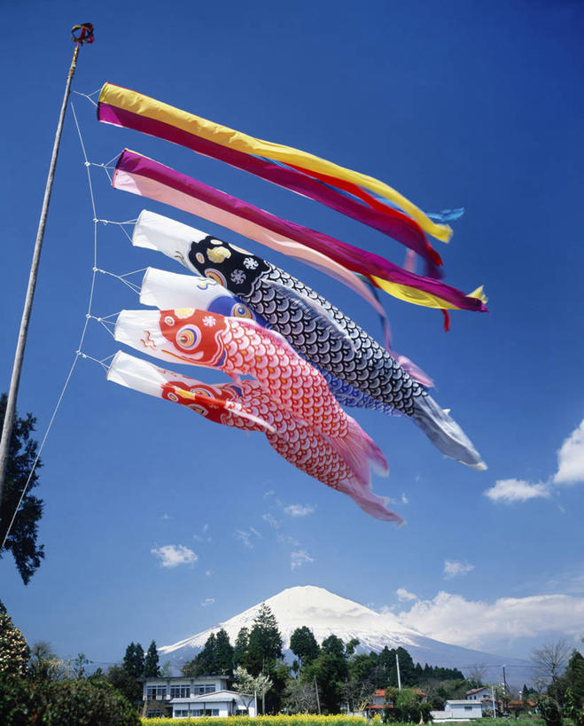 无人,竖图,室外,白天,仰视,旅游,度假,草地,草坪,火山,石头,美景,山,树林,雪,雪山,植物,大雪,旗帜,富士山,静冈县,日本,亚洲,阴影,节日,庆祝,光线,鲤鱼旗,石子,影子,冰,积雪,景观,山顶,山峰,雪景,云,云朵,冬季,冬天,山峦,云彩,文化,娱乐,旗子,草,树,树木,蓝色,绿色,白云,蓝天,天空,阳光,自然,天,祈福,庆典,享受,休闲,景色,放松,寒冷,生长,晴朗,成长,纪念,祈求,冰冷,自然风光,东亚,本州,本州岛,日本国,中部地方,静冈,严寒,冰凉,酷寒,凛冽,凛凛,极冷,旌旗,旗号,鲤鱼节,男孩节,日本男孩节,子供之日,颠峰,极峰,鲤帜,活火山,石块,晴空,彩图,低角度拍摄,富士市