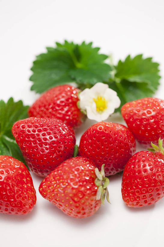 无人,竖图,俯视,室内,特写,白天,白色背景,草莓,浆果,水果,叶子,许多,阴影,新鲜,反射,影子,生食,食品,果实,绿叶,很多,食物,一朵,红色,白色,嫩叶,摄影,有机食品,绿色食品,影棚,勇气,草莓花,甜蜜,叶,叶片,洋莓,水果皇后,红莓,地莓,彩图,高角度拍摄,影棚拍摄,拍摄,恋情