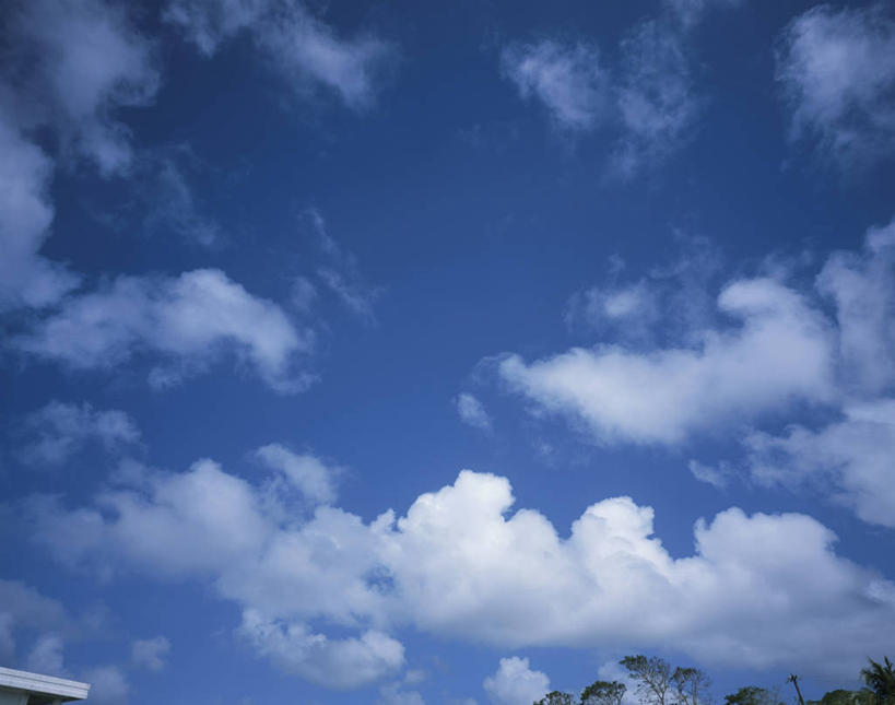 无人,横图,室外,白天,仰视,美景,植物,阴影,光线,影子,景观,云,云朵,云彩,树,树木,蓝色,绿色,白云,蓝天,天空,阳光,自然,天,景色,生长,晴朗,成长,太平洋,自然风光,北马里亚那群岛,北马里亚纳,北马里亚纳群岛,北马里亚纳群岛自由联邦,塞班岛,西太平洋,晴空,彩图,低角度拍摄