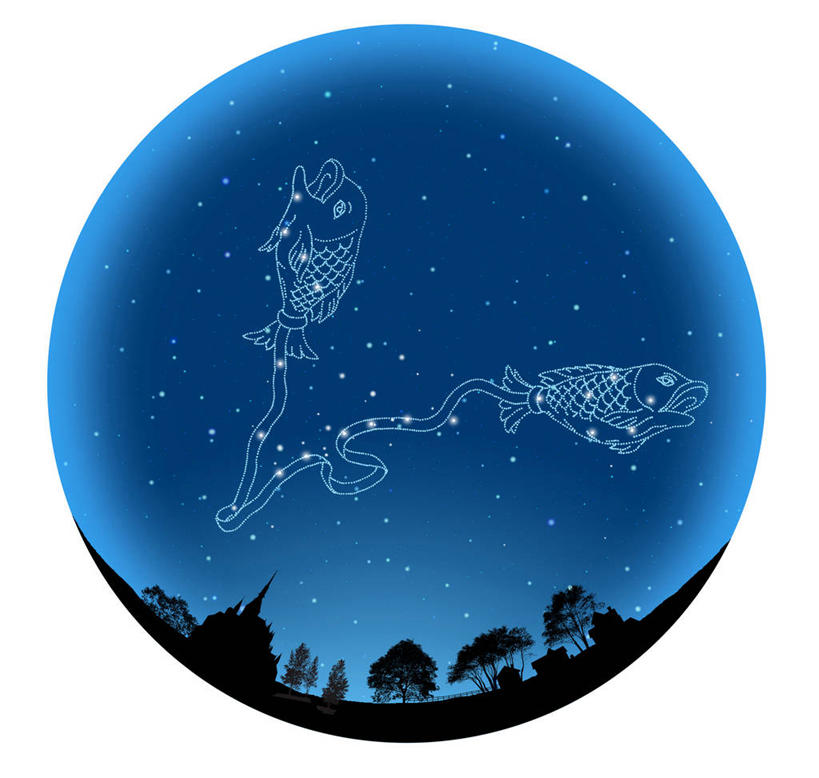 无人,横图,室内,夜晚,白色背景,正面,探险,神秘,数码,宇宙,科技,草地,草坪,树林,植物,阴影,科学,太空,网络,圆形,图形,圆,星星,高光,几何,计算机图形,合成,草,树,树木,绿色,自然,探索,星座,生长,成长,发现,电脑合成图,数码合成图,恒星,天体,合成图,数学,占卜,温柔,天文学,外太空,写实,具体,具象,耐心,亲和,双鱼座,细腻,彩图,几何图形,平面图形