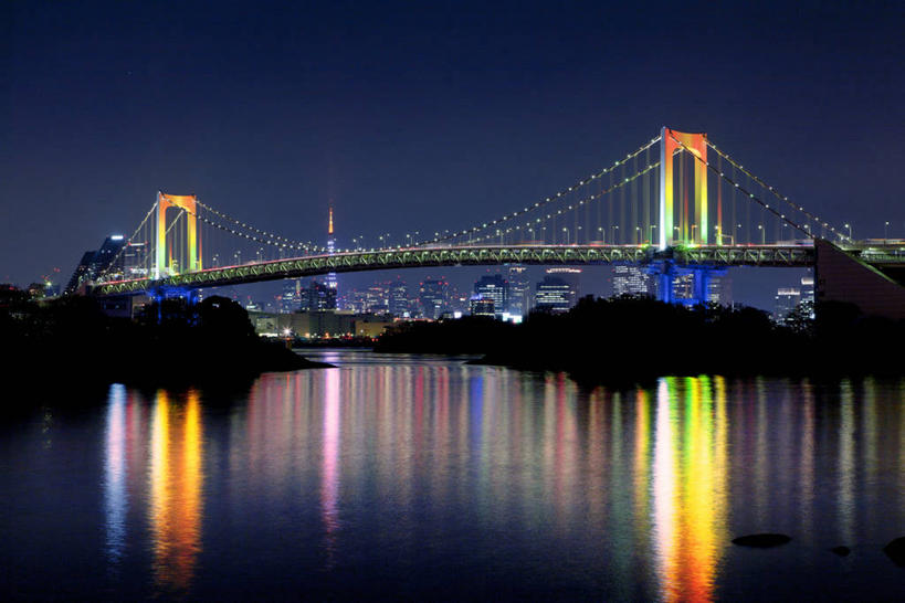 无人,横图,室外,夜晚,正面,旅游,度假,海浪,海洋,植物,标志建筑,大桥,地标,建筑,桥梁,夜景,东京,日本,亚洲,阴影,光线,影子,浪花,斜拉桥,桥,灯光,彩虹大桥,娱乐,建设,树,树木,绿色,自然,海水,享受,休闲,旅游胜地,放松,生长,成长,海景,东亚,本州,关东地方,本州岛,日本国,东京都,日本彩虹大桥,斜张桥,大海,风浪,海,海水的波动,近岸浪,涌浪,彩图