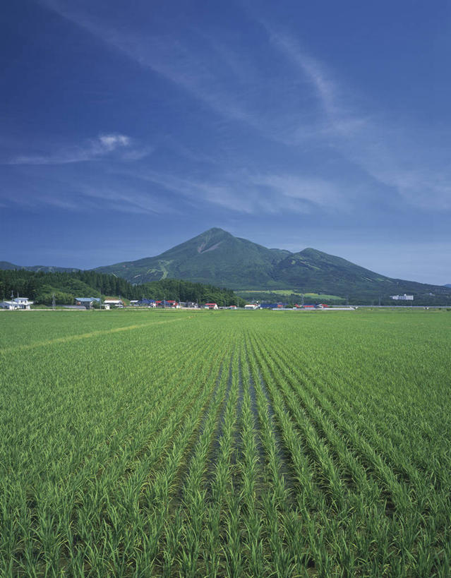 无人,农田,竖图,室外,白天,正面,旅游,度假,庄稼,农作物,草地,草坪,火山,美景,山,山脉,植物,日本,亚洲,阴影,光线,影子,景观,山峰,云,云朵,山峦,云彩,娱乐,草,蓝色,绿色,白云,蓝天,天空,阳光,自然,群山,天,享受,休闲,景色,放松,晴朗,自然风光,东亚,本州,本州岛,日本国,东北地方,福岛,福岛县,活火山,晴空,彩图,耕地,庄稼田,磐梯山