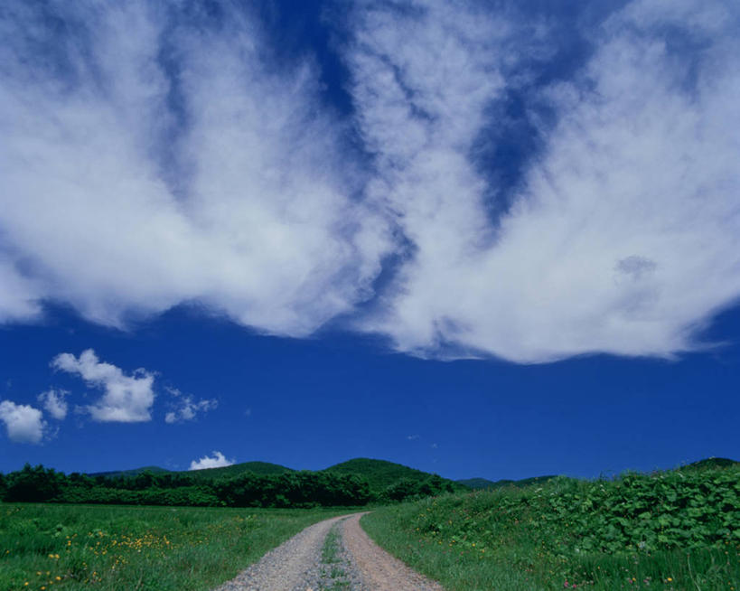 无人,横图,室外,白天,正面,消失点,旅游,度假,草地,草坪,美景,植物,道路,路,北海道,日本,亚洲,阴影,曲折,弯曲,光线,影子,景观,云,云朵,小路,交通,云彩,娱乐,草,树,树木,蓝色,绿色,白云,蓝天,天空,阳光,自然,天,享受,休闲,景色,放松,蜿蜒,生长,晴朗,成长,自然风光,东亚,日本国,北海道地方,北海道岛,晴空,彩图,没影点,灭点,后志支厅,后志综合振兴局,岩内郡,道央,岩内町