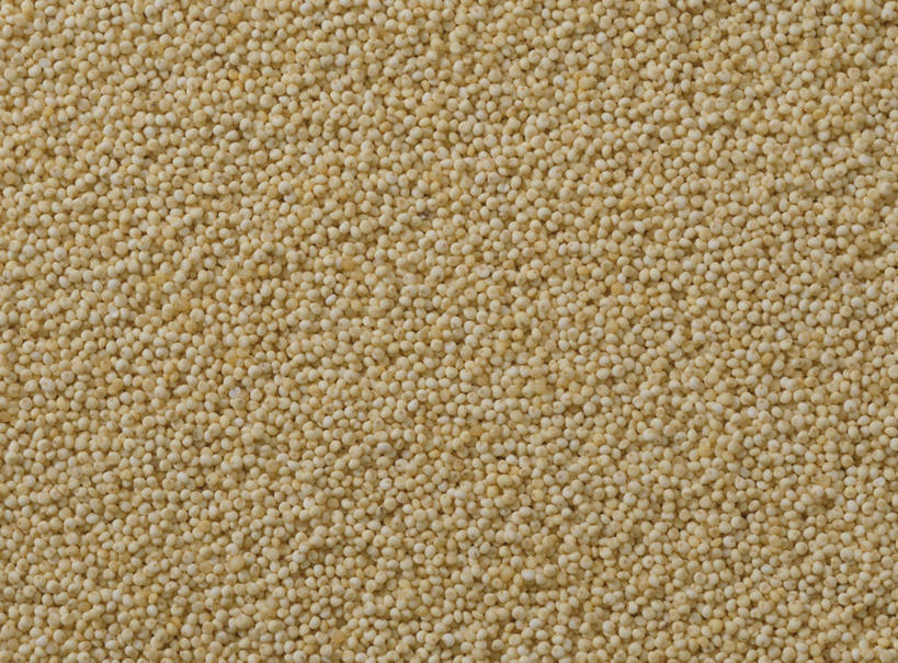 无人,横图,俯视,室内,特写,白天,农作物,一堆,许多,阴影,堆叠,堆积,反射,影子,谷物,很多,摄影,影棚,堆,粢米,稷,稷米,糜子米,彩图,高角度拍摄,全画面,全框架,全帧,影棚拍摄,拍摄,全画幅