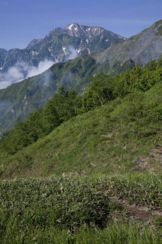 无人,竖图,室外,白天,正面,旅游,度假,草地,草坪,美景,山,山脉,植物,长野县,富山县,日本,亚洲,阴影,光线,影子,景观,山峰,云,云朵,山峦,云彩,娱乐,草,蓝色,绿色,白云,蓝天,天空,阳光,自然,群山,天,享受,休闲,景色,放松,晴朗,自然风光,东亚,本州,本州岛,日本国,中部地方,长野,富山,北安,北安昙郡,晴空,彩图,白马村,黑部市,唐松岳山