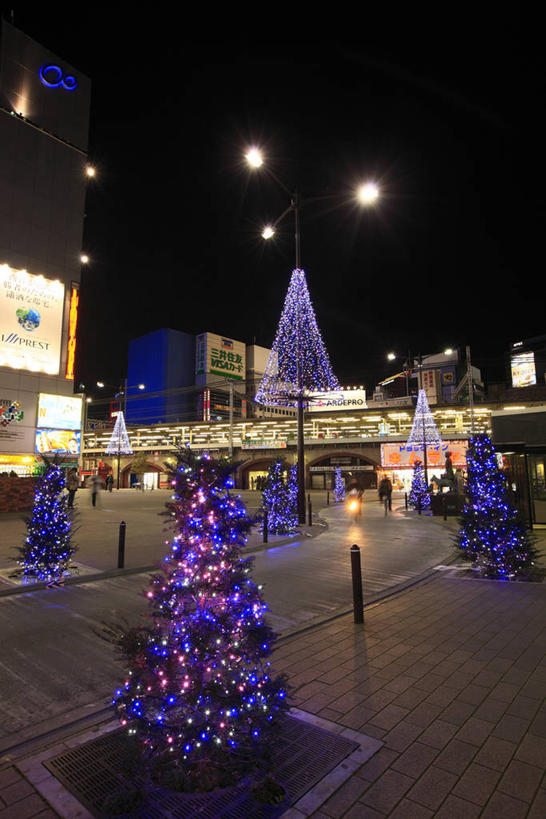 无人,家,竖图,室外,夜晚,正面,度假,美景,植物,城市风光,城市,道路,路,路灯,夜景,照明,东京,日本,圣诞节,亚洲,阴影,节日,庆祝,装饰,环绕,缠绕,光线,彩灯,挂饰,影子,房屋,屋子,景观,小路,灯光,圣诞树,圣诞球,交通,文化,娱乐,楼房,住宅,灯,球,树,树木,绿色,紫色,天空,自然,灯具,天,庆典,享受,休闲,球体,景色,放松,花灯,生长,成长,纪念,华丽,修饰,照亮,点缀,照明设备,纠缠,东亚,新桥,本州,关东地方,本州岛,日本国,东京都,衬托,美观,雅致,雅观,县厅,港区,东京市,彩图,房子,新桥站