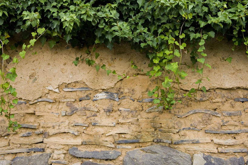 无人,横图,室外,特写,白天,正面,建材,植物,建筑,叶子,日本,亚洲,阴影,光线,材料,纹理,影子,砖,砖块,墙,长春藤,常春藤,绿叶,墙壁,墙面,绿色,阳光,嫩叶,砖头,建造,东亚,本州,肌理,本州岛,日本国,中国地方,永恒,山口,山口县,不朽,忠实,洋常春藤,叶,叶片,叶脉,石料,彩图,砌墙砖,萩市,常青藤