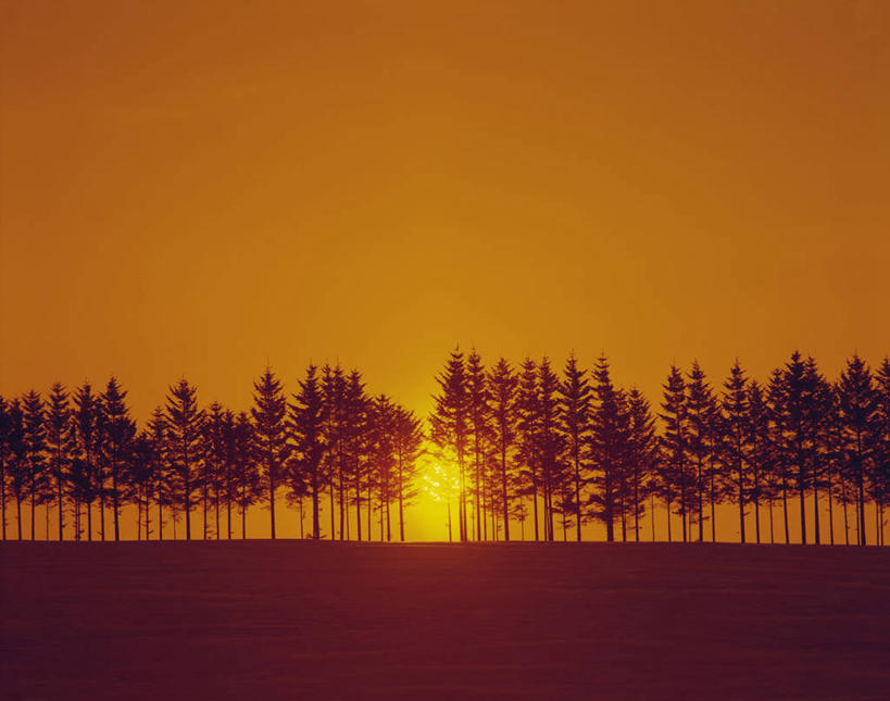 无人,横图,室外,白天,正面,旅游,度假,幸福,美景,日落,树林,太阳,植物,北海道,日本,亚洲,景观,晚霞,霞光,落日,背光,辉煌,娱乐,树,树木,绿色,天空,自然,黄昏,天,享受,休闲,温暖,橙色,景色,彩霞,放松,活泼,生长,成长,华丽,暖色,自然风光,逆光,温情,东亚,日本国,北海道地方,北海道岛,炽热,响亮,跃动,夕照,薄暮,甜蜜,夕阳,彩图,愉快,傍晚,鄂霍次克综合振兴局,网走郡,大空町,斜阳,道东,网走支厅