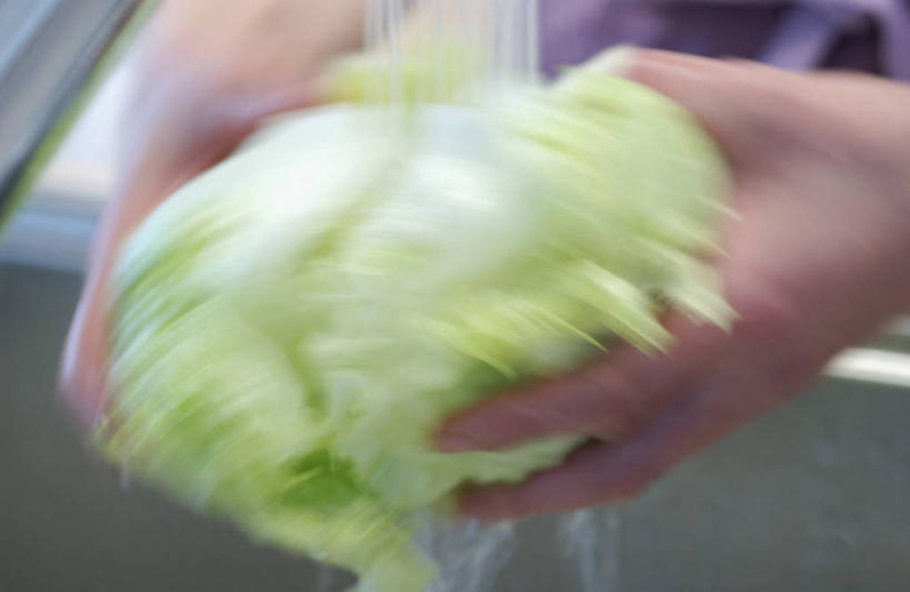 东方人,手,一个人,横图,室内,特写,白天,正面,水,厨房,椰菜,卷心菜,亚洲,双手,仅一个男性,仅一个人,握,阴影,飞溅,朦胧,模糊,溅,反射,水槽,水龙头,液体,影子,水滴,食品,黄种人,水斗,开关,水珠,食材,食物,仅一个年轻男性,一个,打开,手部,甘蓝,握着,单个,阀门,开启,喷洒,荡涤,洗濯,水咀,甘蓝菜,男人,男性,年轻男性,亚洲人,结球甘蓝,甘兰,包心菜,清洗,半身,彩图,灶间,圆白菜