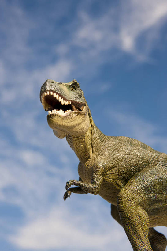 无人,竖图,室外,特写,白天,仰视,游戏,玩具,阴影,光线,影子,云,云朵,玩,云彩,娱乐,一个,蓝色,白云,蓝天,天空,阳光,天,休闲,益智,恐龙,晴朗,单个,活动,发泄,消遣,智力,凶猛,霸王龙,宣泄,灭尽,灭绝,暴龙,雷克斯暴龙,雷克斯龙,史前动物,凶残,晴空,玩耍,嬉戏,半身,彩图,低角度拍摄