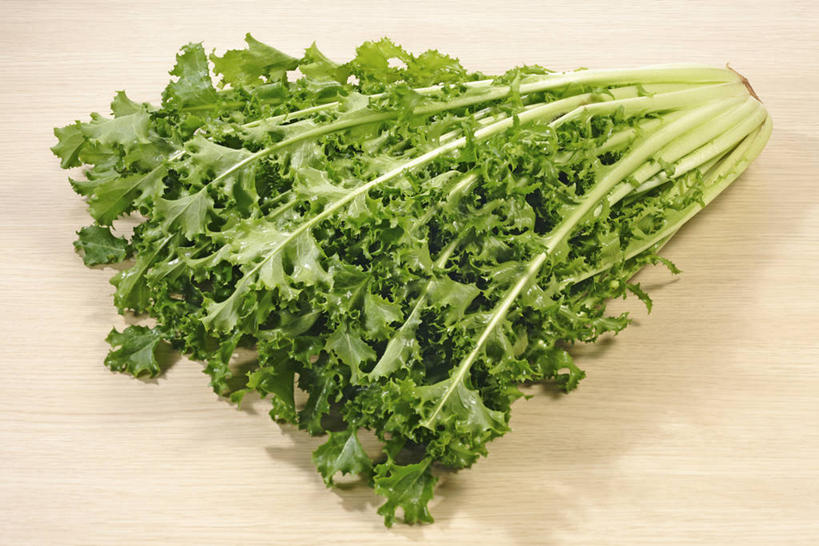 无人,横图,俯视,室内,特写,白天,餐桌,桌子,蔬菜,叶子,阴影,新鲜,反射,影子,菊苣,食品,绿叶,苦菜,食物,一个,绿色,嫩叶,有机食品,绿色食品,单个,餐台,苦苣,叶,叶片,彩图,高角度拍摄,咖啡草,咖啡萝卜,卡斯尼,明目菜,皱叶苦苣