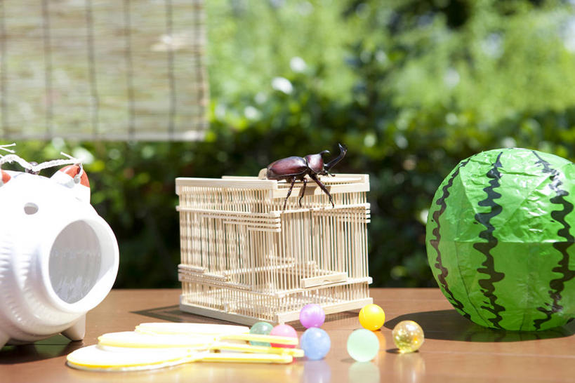 无人,横图,室外,白天,正面,桌面,桌子,阴影,朦胧,模糊,日本文化,装饰,光线,木制,昆虫,独角仙,扇子,蚊香猪,影子,塑料,笼子,蚊香架,甲壳虫,清凉,停留,凉爽,文化,一个,一只,绿色,阳光,动物,木制品,气球,容器,塑料制品,橡胶,单个,储藏,华丽,修饰,停止,点缀,储存,甲虫,和风,益虫,橡胶制品,衬托,美观,雅致,雅观,双叉犀金龟,逗留,停顿,兜虫,彩图,全身,和风扇,和风扇子,凉扇,蚊取豚,香薰器,小猪香炉,贮存,传统文化